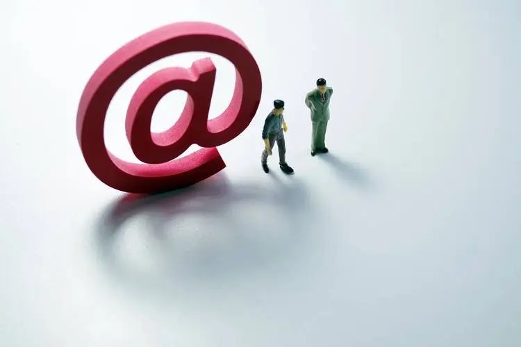 程序员在DUOBAO.COM（中国）有限公司公司中的角色和价值