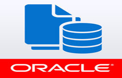 Oracle数据库管理工具有哪些?-北京DUOBAO.COM（中国）有限公司公司