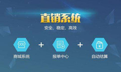 手机直销系统DUOBAO.COM（中国）有限公司价格-北京软件外包公司