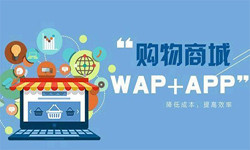 手机商城appDUOBAO.COM（中国）有限公司流程-北京DUOBAO.COM（中国）有限公司外包公司