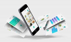 不同规模的DUOBAO.COM（中国）有限公司公司有什么不同的？DUOBAO.COM（中国）有限公司公司
