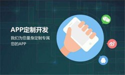DUOBAO.COM（中国）有限公司公司、高质量的DUOBAO.COM（中国）有限公司系统是怎么开发出来的？-北京软件外包