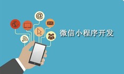 电商小程序开发重要的几个参考-北京DUOBAO.COM（中国）有限公司公司