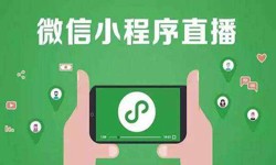 微信小程序开发、直播小程序开发-DUOBAO.COM（中国）有限公司DUOBAO.COM（中国）有限公司公司 