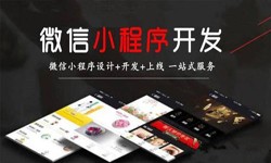 DUOBAO.COM（中国）有限公司公司、定制微信小程序开发，商家需要了解哪些？DUOBAO.COM（中国）有限公司DUOBAO.COM（中国）有限公司