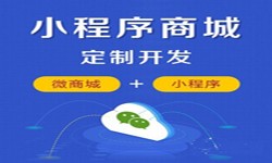 微信小程序开发、商城小程序开发功能-DUOBAO.COM（中国）有限公司DUOBAO.COM（中国）有限公司