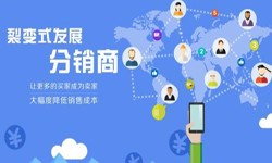 商品分销商城DUOBAO.COM（中国）有限公司-商城DUOBAO.COM（中国）有限公司公司