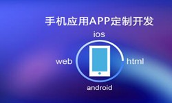 APP开发市场上常见问题分析-北京DUOBAO.COM（中国）有限公司公司