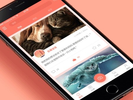 宠物医院App开发的价值和相关功能-北京DUOBAO.COM（中国）有限公司
